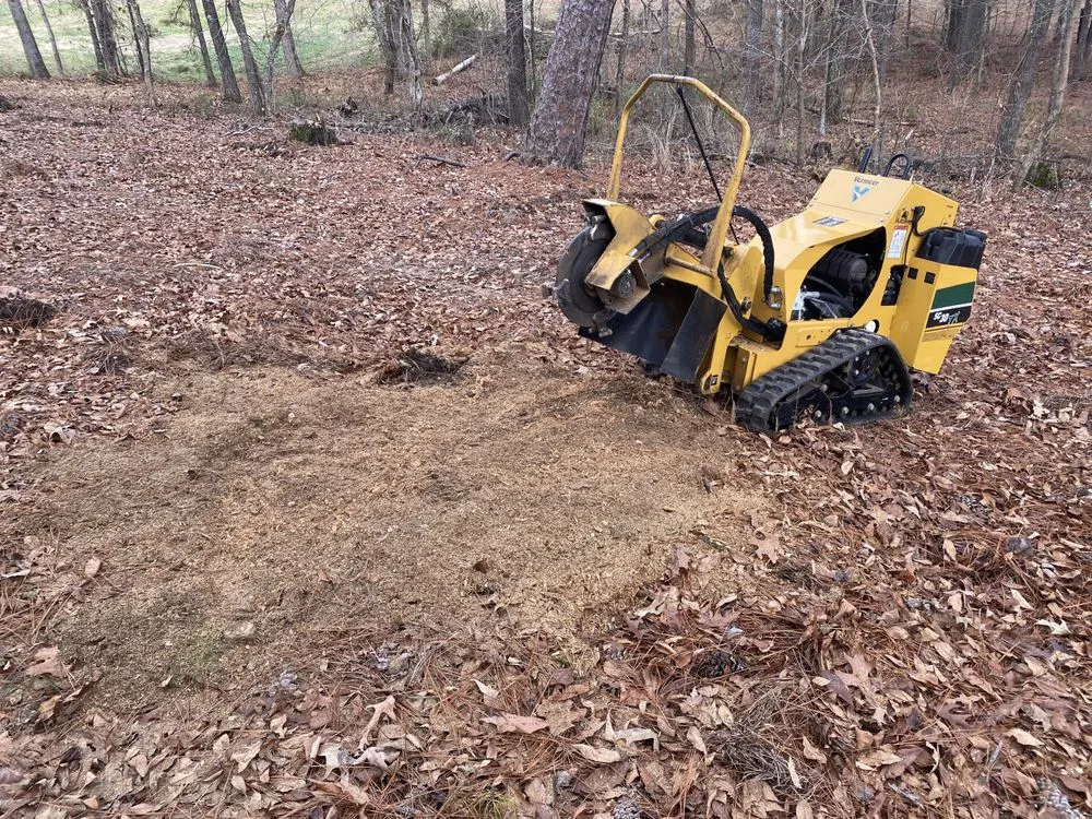 Affordable yard cleanup service for beautiful yards across Dora, AL - Sanford Land Services