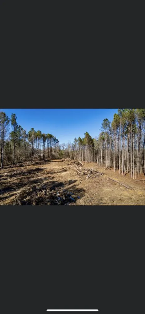 Reliable landscaping services experts serving Dora, AL - Sanford Land Services