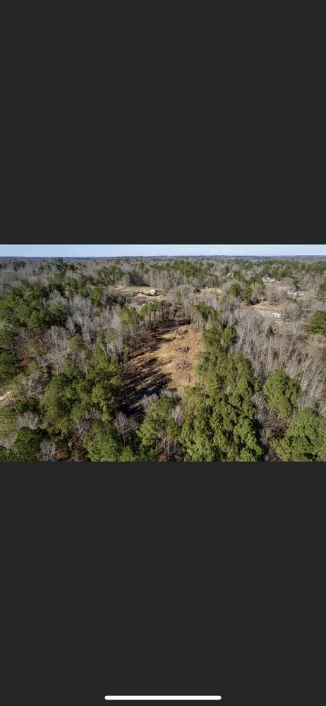 Reliable garden landscaping for year-round maintenance in Dora, AL by Sanford Land Services