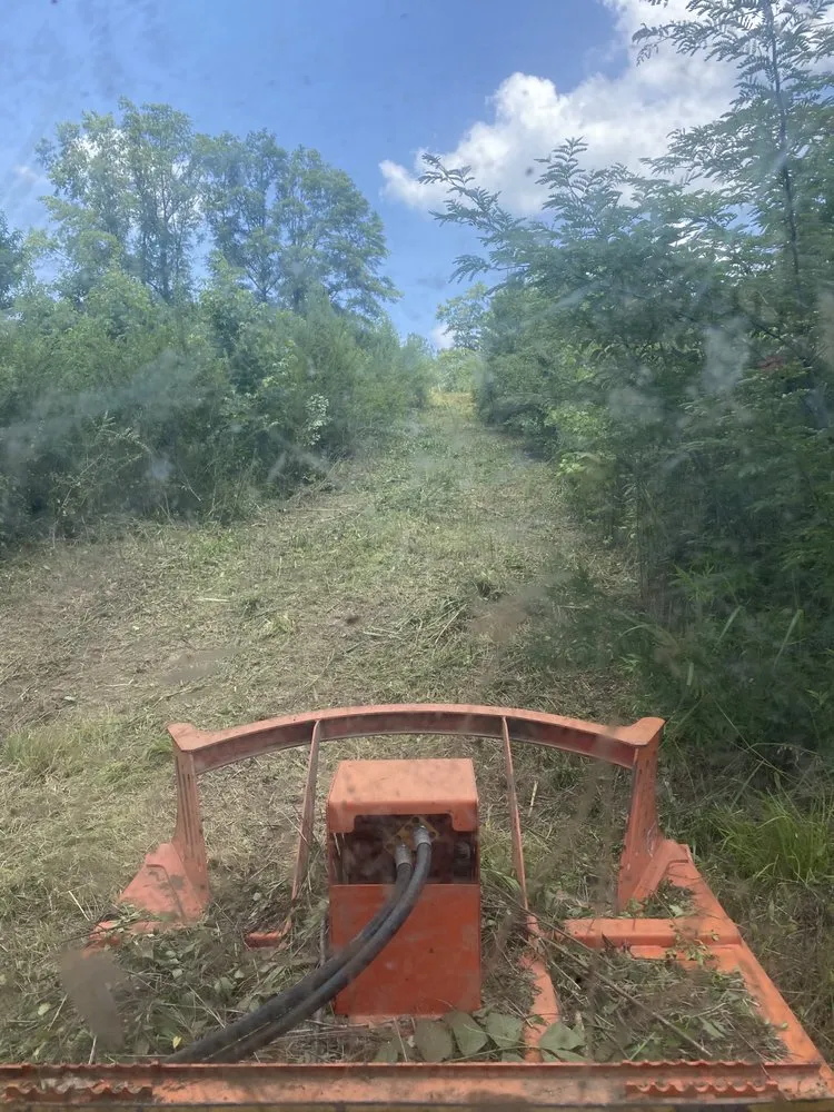 Local yard maintenance with custom design in Dora, AL by Sanford Land Services