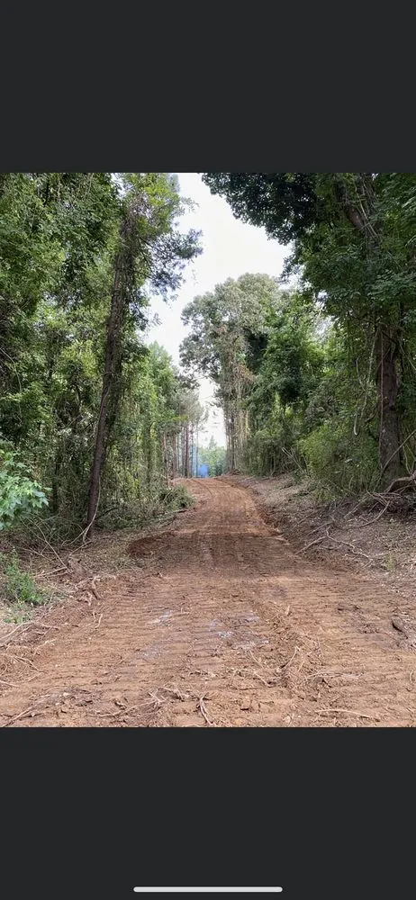 Trusted outdoor landscaping for year-round maintenance in Dora, AL by Sanford Land Services