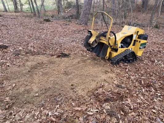 Sanford Land Services