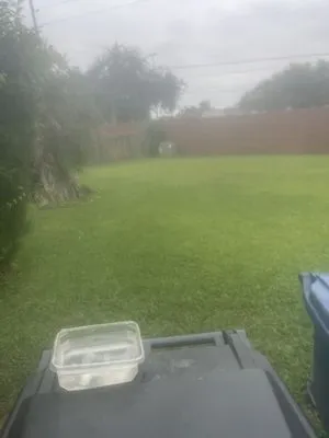 Sanford Lawn and More