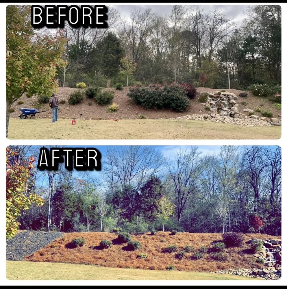 Top-rated lawn care service in Grover, NC - Sanford’s Lawn Care