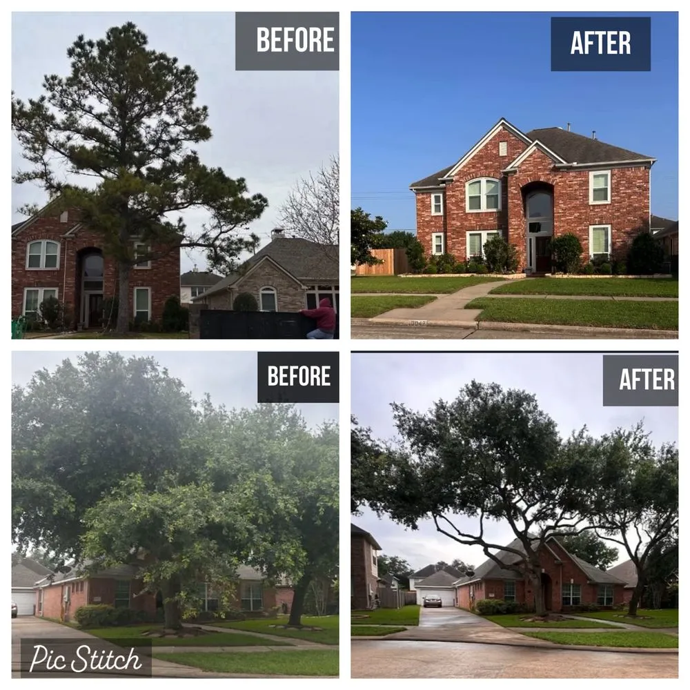 Reliable landscaping services in Houston, TX - Sanmar Tree Service And Landscaping