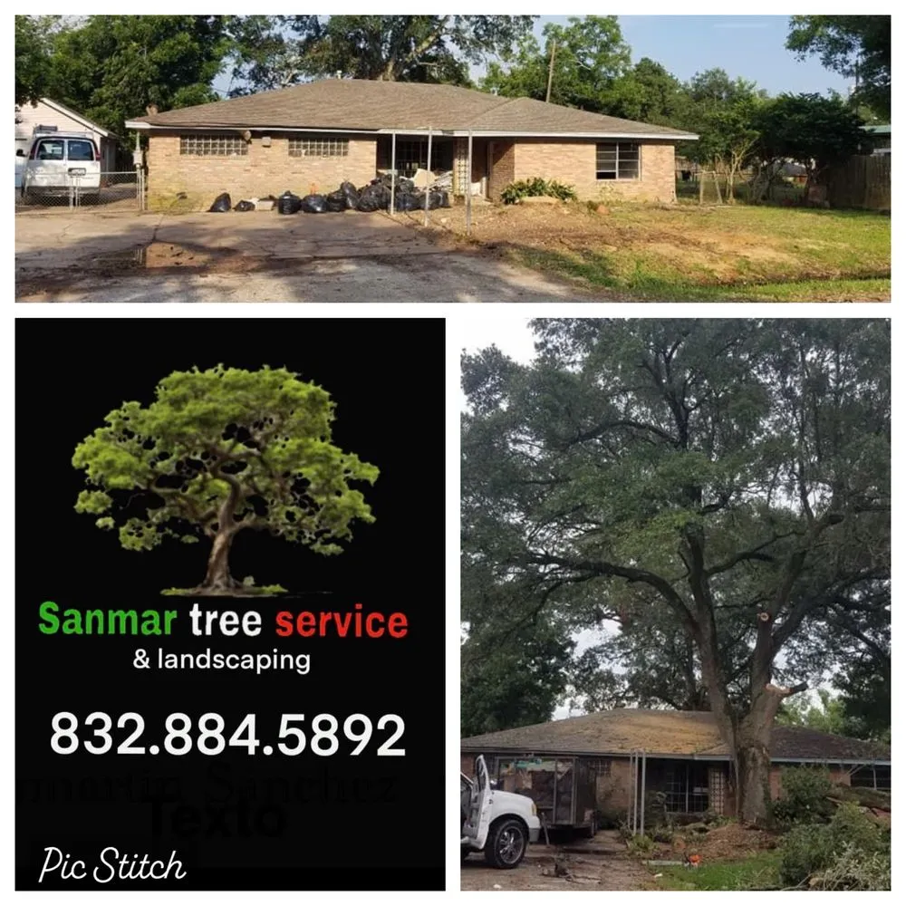 Custom yard cleanup service experts serving Houston, TX - Sanmar Tree Service And Landscaping