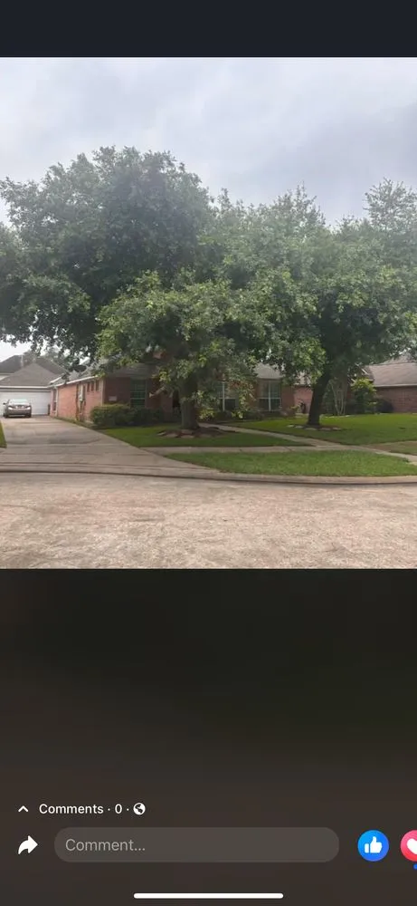 Trusted outdoor landscaping in Houston, TX by Sanmar Tree Service And Landscaping