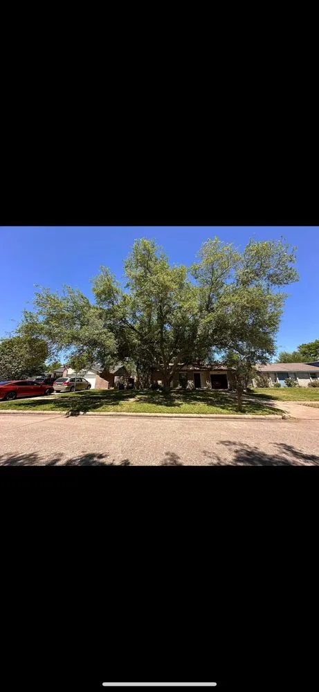 Custom landscape installation in Houston, TX by Sanmar Tree Service And Landscaping