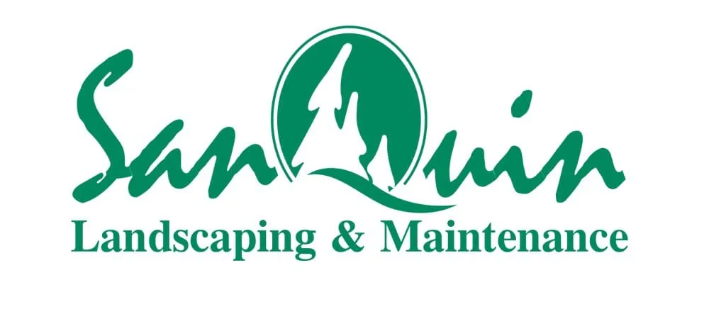 Trusted yard cleanup service with custom design across Stockton, CA - SanQuin Landscaping & Maintenance