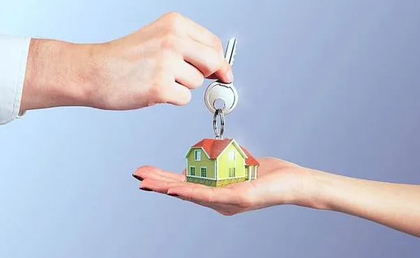 Professional landscaping services experts serving Santa Barbara, CA - Santa Barbara Estate Management Solutions