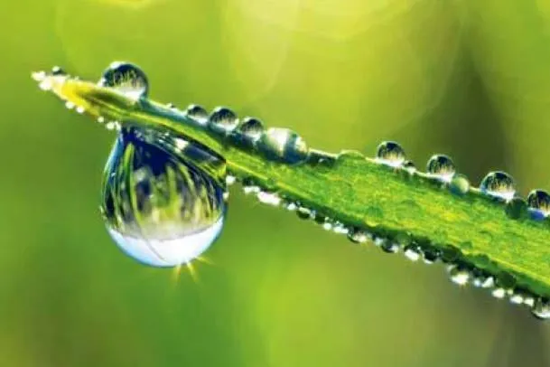 Local lawn mowing service for year-round maintenance in Santa Barbara, CA by Santa Barbara Estate Management Solutions