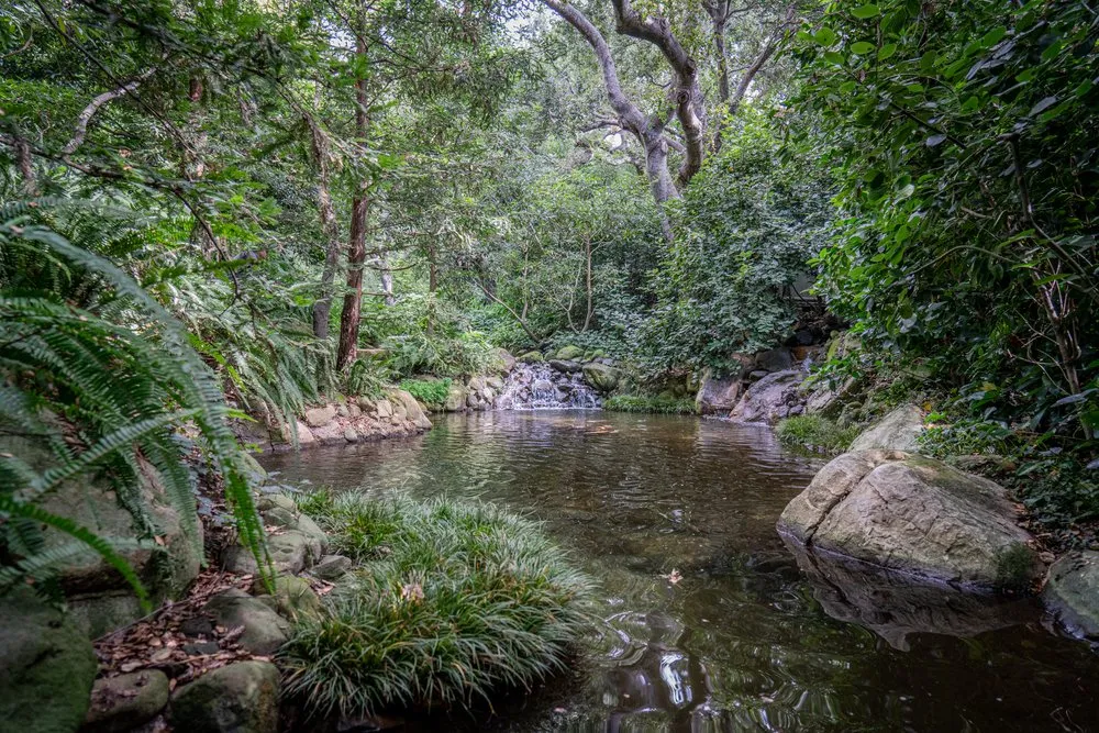 Expert yard maintenance in Santa Barbara, CA by Santa Barbara Ponds