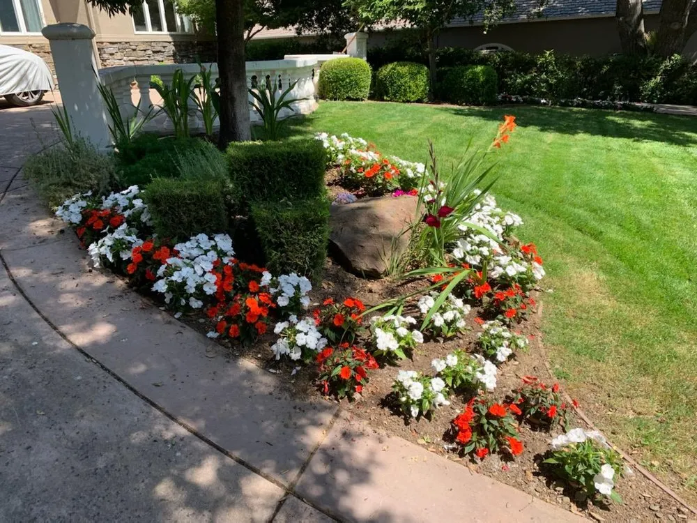 Expert lawn mowing service in Watsonville, CA by Santa Cruz Bay Yard Clean Ups And Tree Service