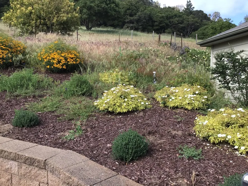 Reliable lawn mowing service in Watsonville, CA - Santa Cruz Bay Yard Clean Ups And Tree Service