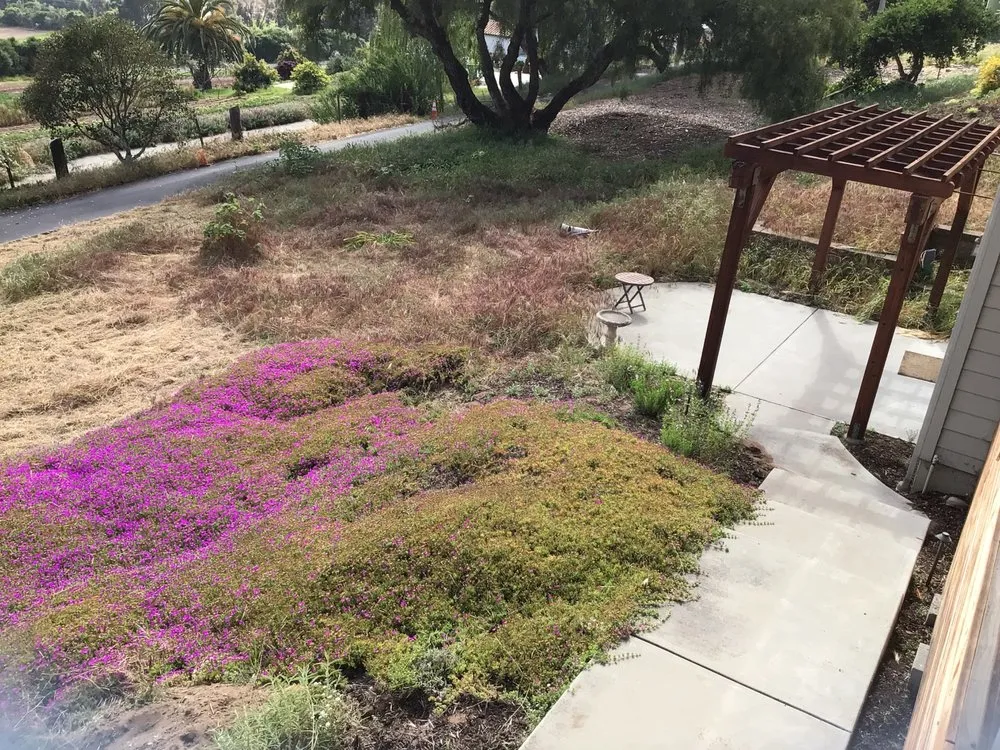 Affordable yard maintenance for homes in Watsonville, CA by Santa Cruz Bay Yard Clean Ups And Tree Service