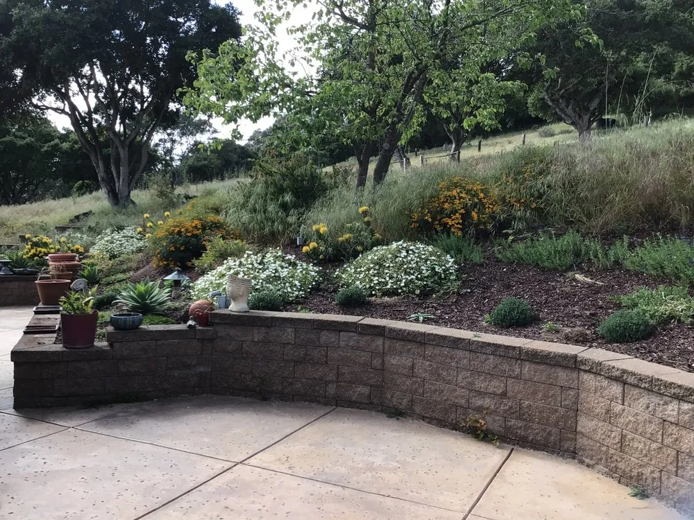 Reliable landscape design with custom design in Watsonville, CA by Santa Cruz Bay Yard Clean Ups And Tree Service