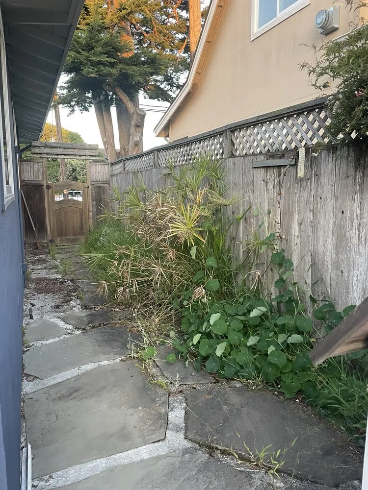 Reliable yard cleanup service near you across Watsonville, CA - Santa Cruz Bay Yard Clean Ups And Tree Service