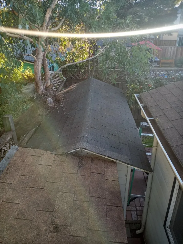 Top-rated landscape installation in Watsonville, CA - Santa Cruz Bay Yard Clean Ups And Tree Service