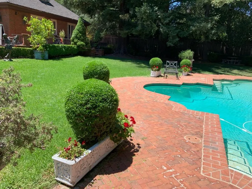 Affordable residential landscaping for residential properties in Watsonville, CA by Santa Cruz Bay Yard Clean Ups And Tree Service