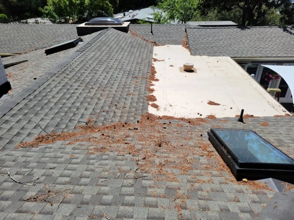 Local lawn care service experts serving Watsonville, CA - Santa Cruz Bay Yard Clean Ups And Tree Service