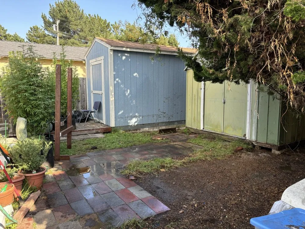 Expert residential landscaping in Watsonville, CA - Santa Cruz Bay Yard Clean Ups And Tree Service