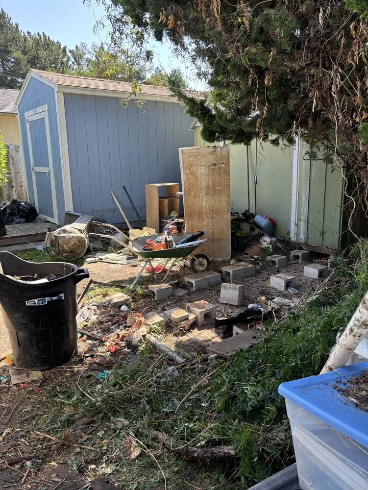 Professional yard maintenance for residential properties in Watsonville, CA by Santa Cruz Bay Yard Clean Ups And Tree Service