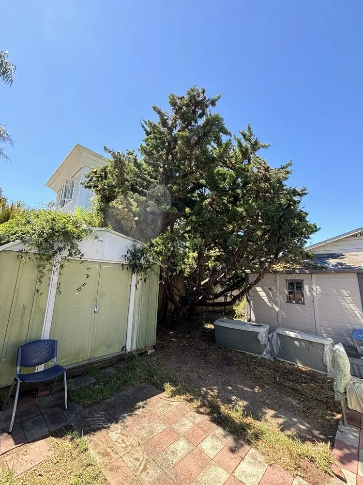 Affordable garden landscaping for homes in Watsonville, CA by Santa Cruz Bay Yard Clean Ups And Tree Service