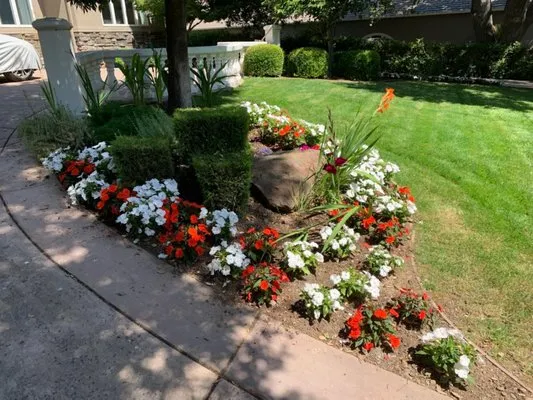 Santa Cruz Bay Yard Clean Ups And Tree Service Logo