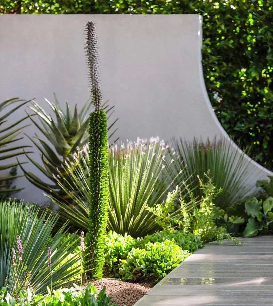 Local lawn mowing service experts serving Santa Cruz, CA - Santa Cruz Gardeners