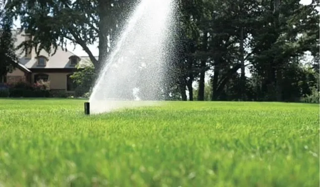 Expert landscaping services experts serving Santa Cruz, CA - Santa Cruz Gardeners