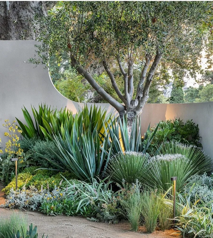 Custom residential landscaping for year-round maintenance in Santa Cruz, CA by Santa Cruz Gardeners