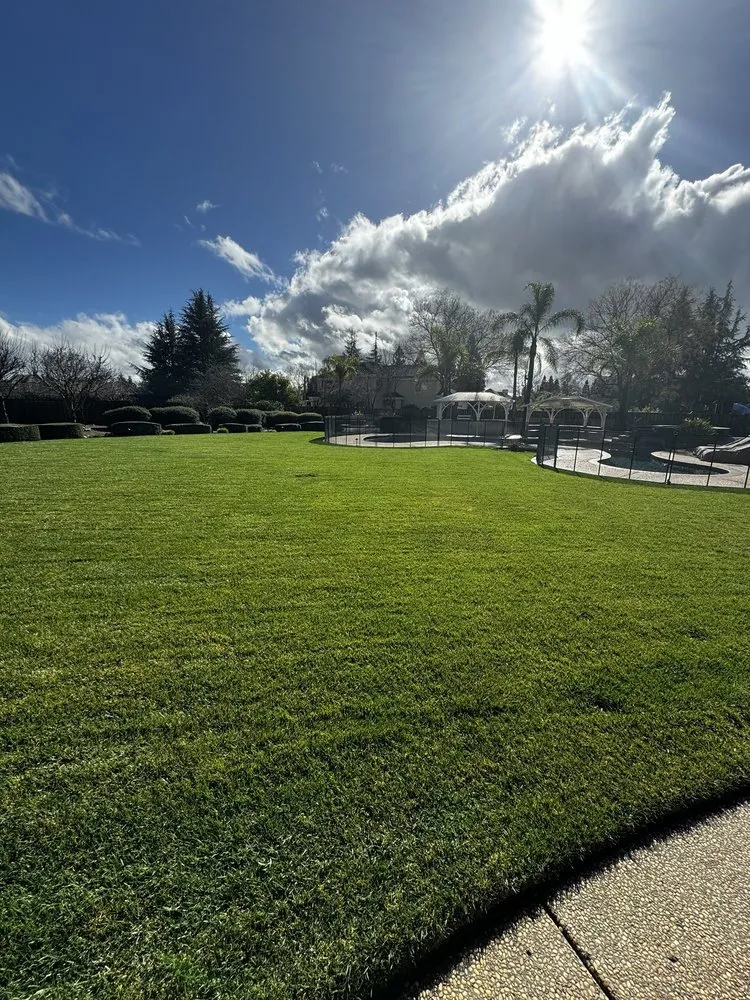 Custom landscaping services experts serving Santa Cruz, CA - Santa Cruz Gardeners