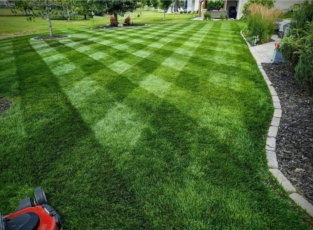 Trusted landscaping services experts serving Santa Cruz, CA - Santa Cruz Gardeners