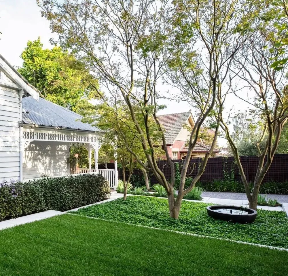 Reliable yard cleanup service in Santa Cruz, CA by Santa Cruz Gardeners