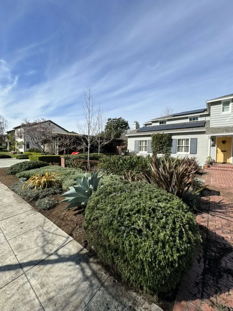 Professional landscape installation for year-round maintenance in Santa Cruz, CA by Santa Cruz Gardeners