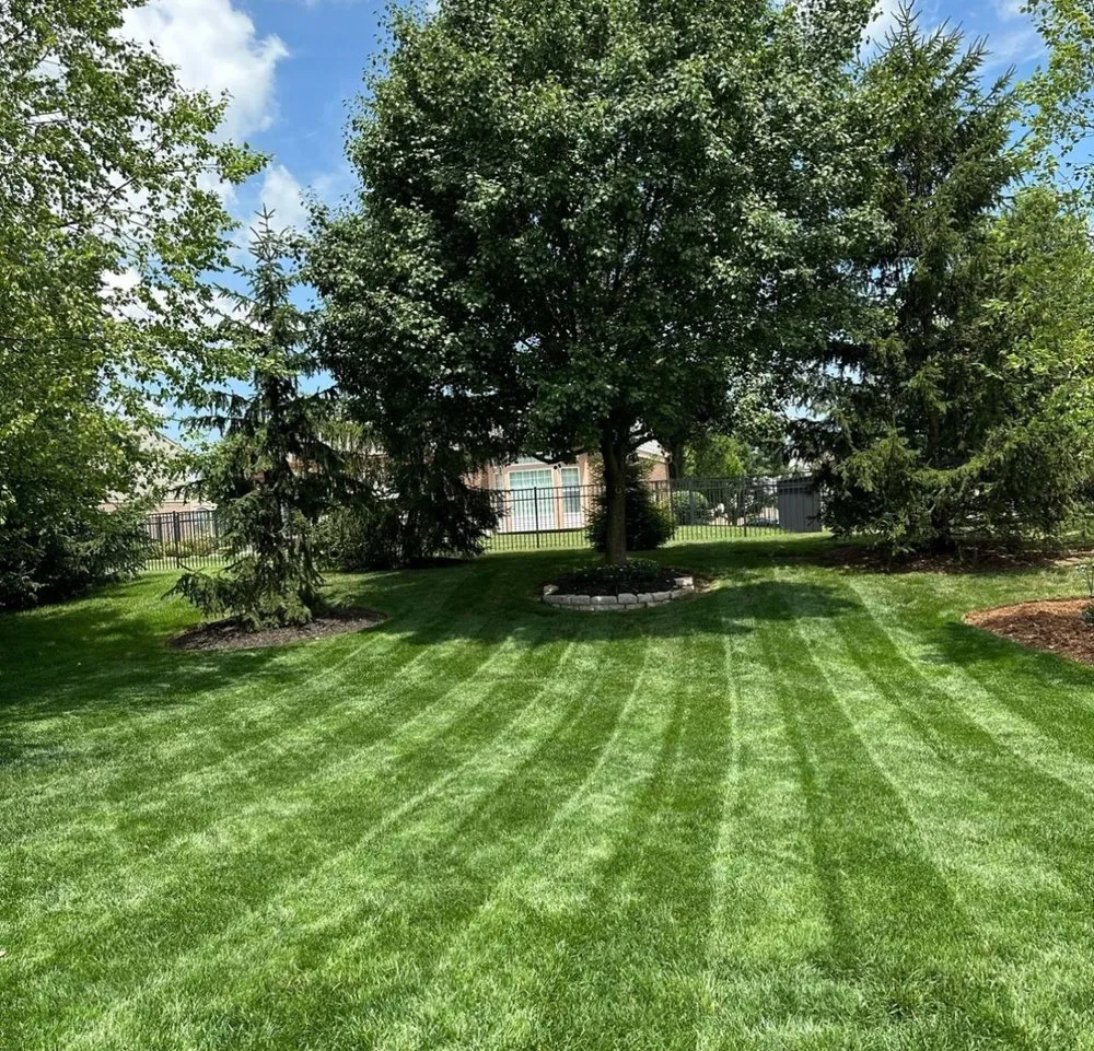 Top-rated yard cleanup service for beautiful yards in Santa Cruz, CA by Santa Cruz Gardeners