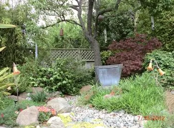 Top-rated yard maintenance in Aptos, CA by Santa Cruz Irrigation & Gardens