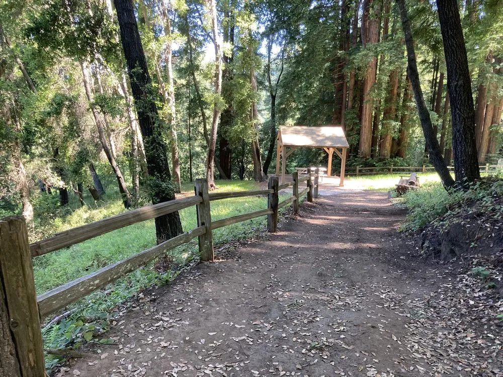 Top-rated lawn mowing service experts serving Aptos, CA - Santa Cruz Irrigation & Gardens