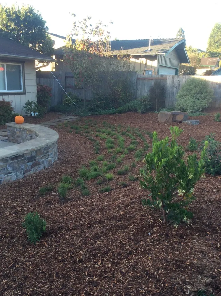 Custom lawn mowing service for residential properties in Aptos, CA by Santa Cruz Irrigation & Gardens