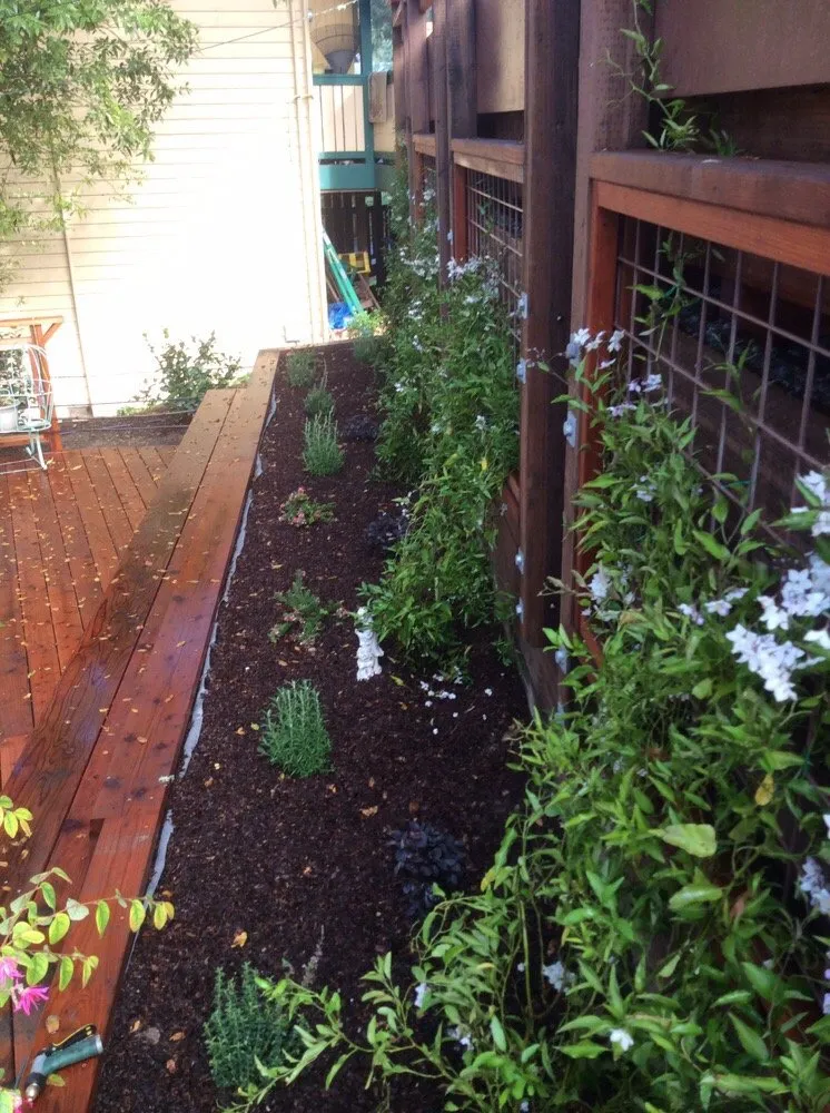 Expert outdoor landscaping in Aptos, CA - Santa Cruz Irrigation & Gardens