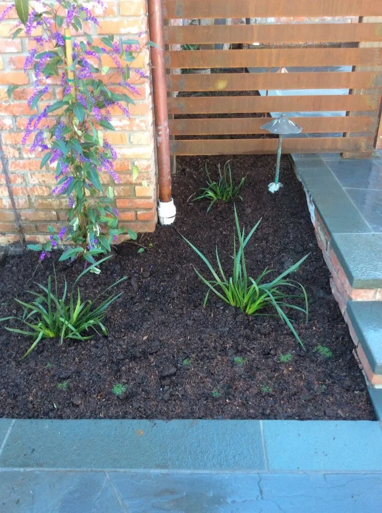 Local garden landscaping for year-round maintenance in Aptos, CA by Santa Cruz Irrigation & Gardens