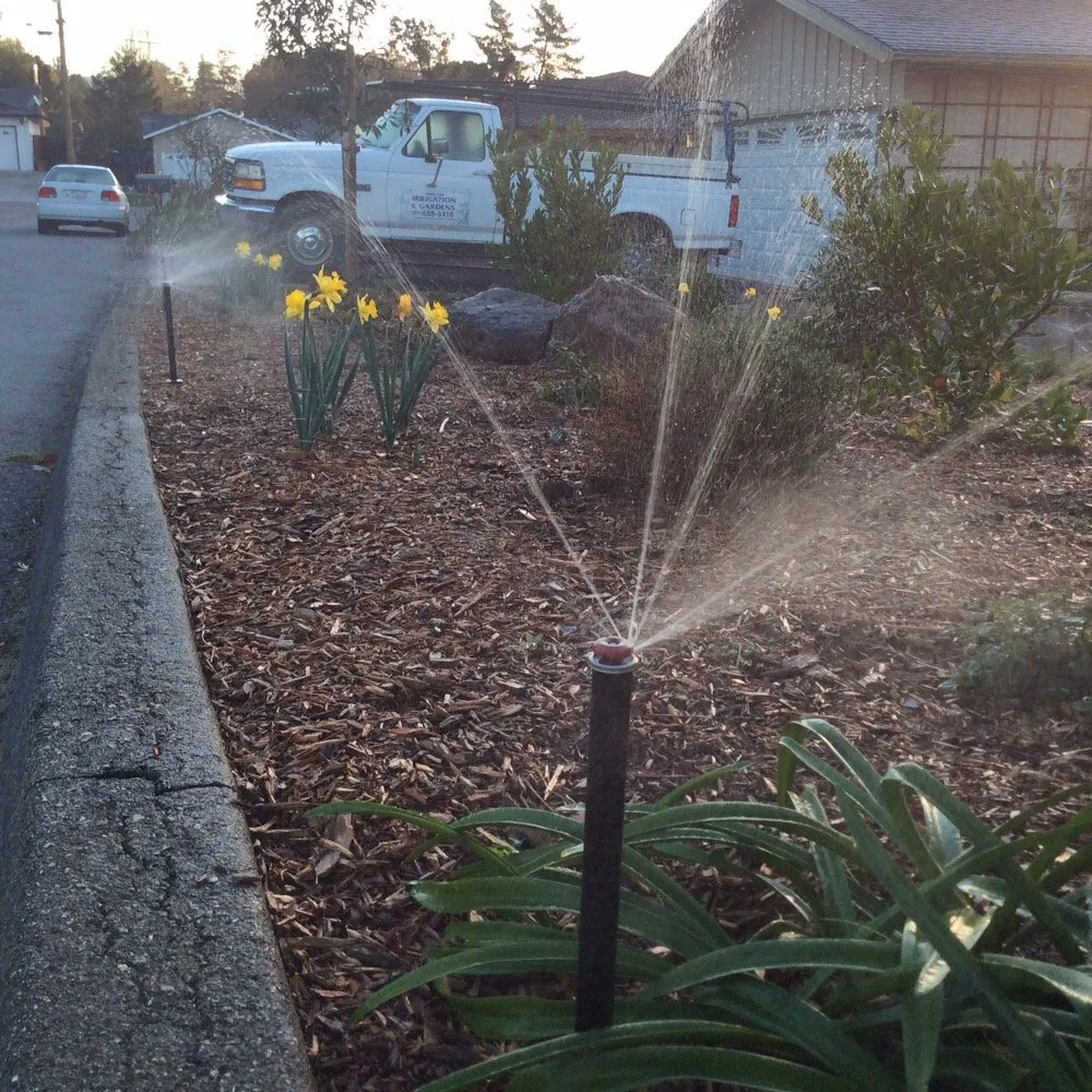 Custom yard cleanup service with custom design across Aptos, CA - Santa Cruz Irrigation & Gardens