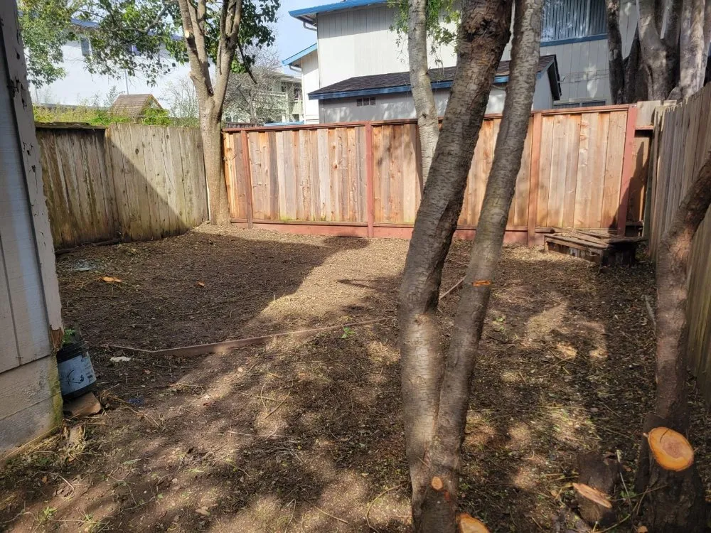 Custom landscape installation for beautiful yards across Freedom, CA - Santa Cruz Yard