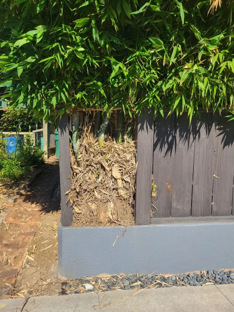 Affordable landscaping services in Freedom, CA - Santa Cruz Yard