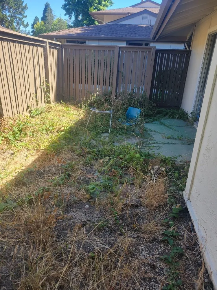 Professional yard cleanup service in Freedom, CA by Santa Cruz Yard