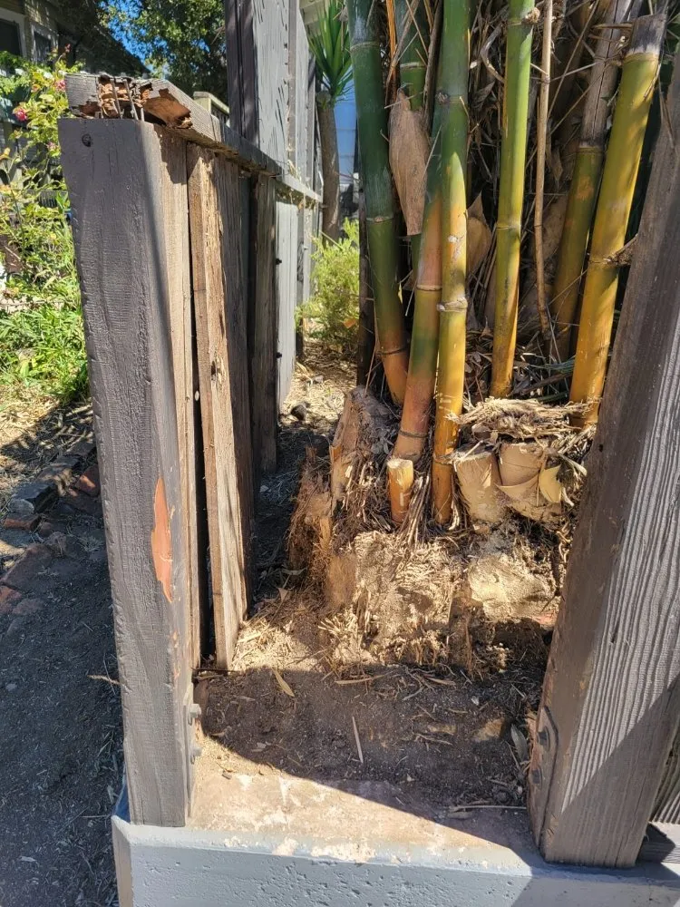 Top-rated garden landscaping for homes in Freedom, CA by Santa Cruz Yard