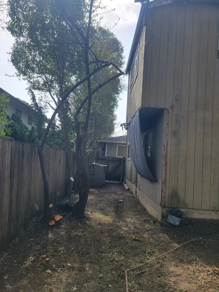 Reliable outdoor landscaping for outdoor upgrades in Freedom, CA by Santa Cruz Yard