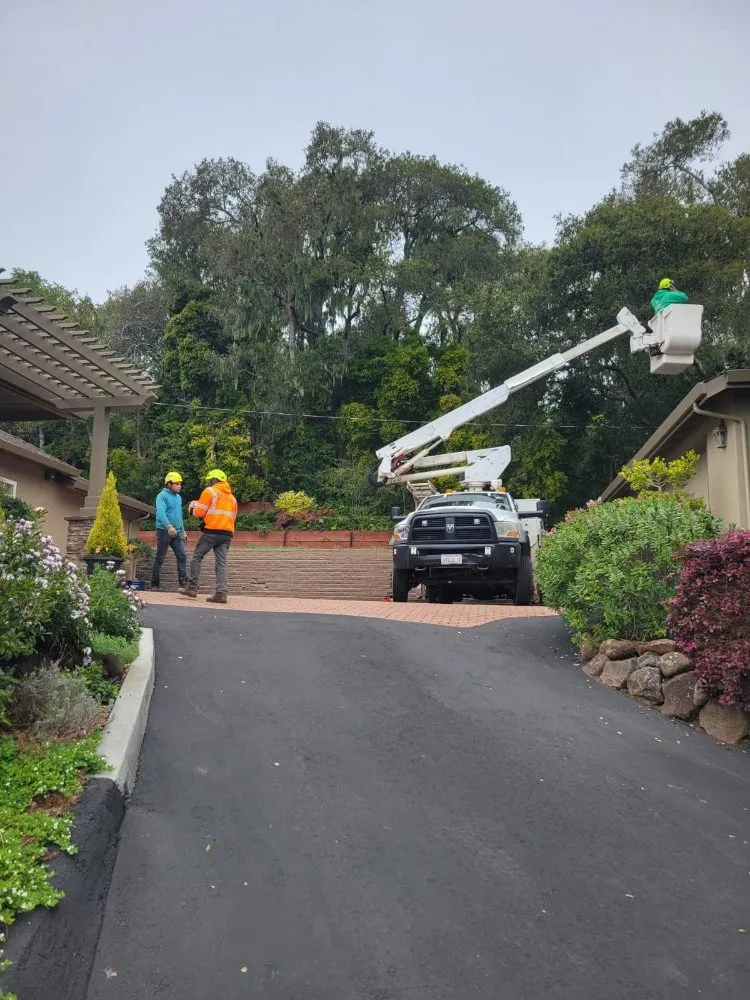 Affordable landscape installation experts serving Freedom, CA - Santa Cruz Yard