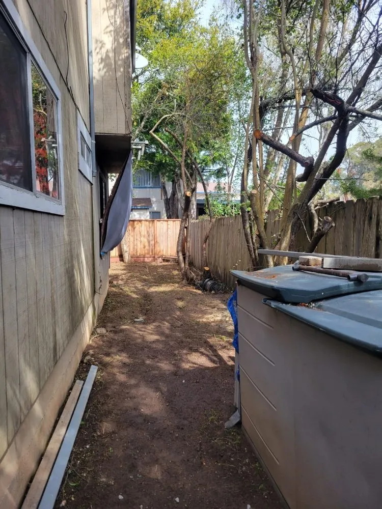 Professional lawn mowing service experts serving Freedom, CA - Santa Cruz Yard