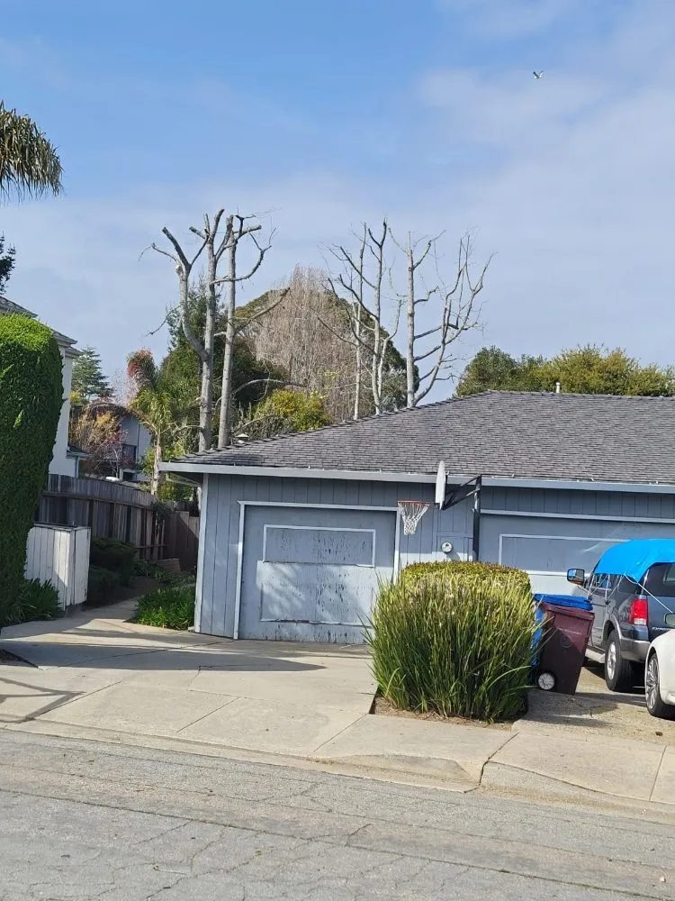 Expert lawn mowing service experts serving Freedom, CA - Santa Cruz Yard